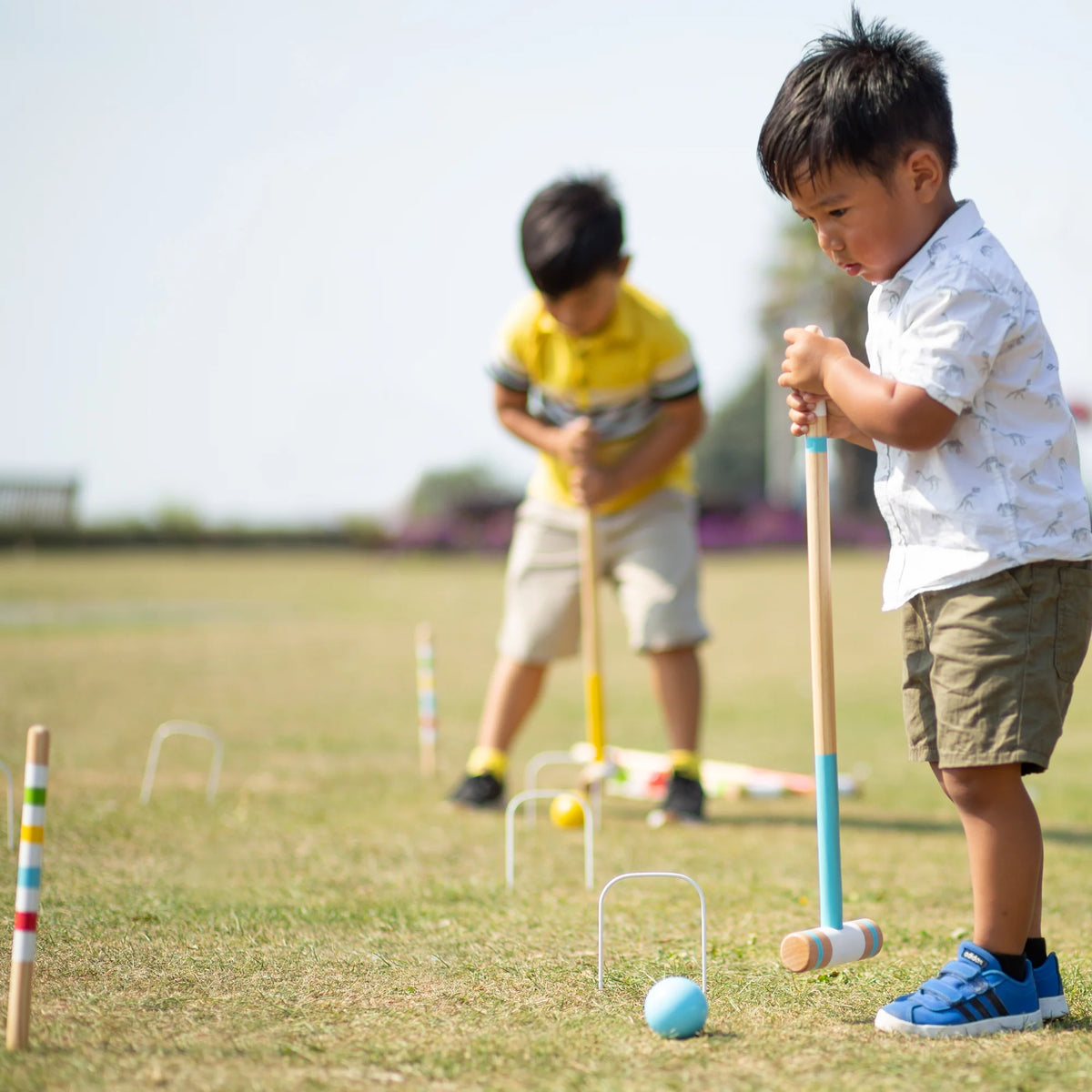 Garden Croquet