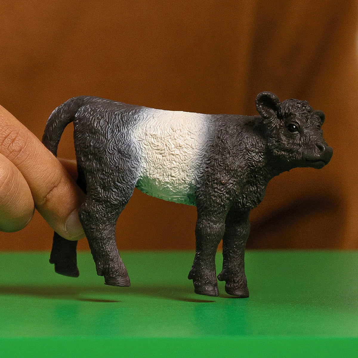 Schleich 13969 Galloway Calf