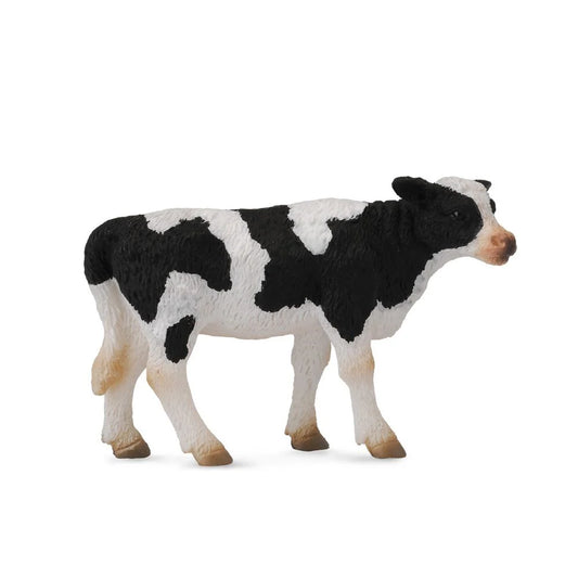 Friesian Calf Standing