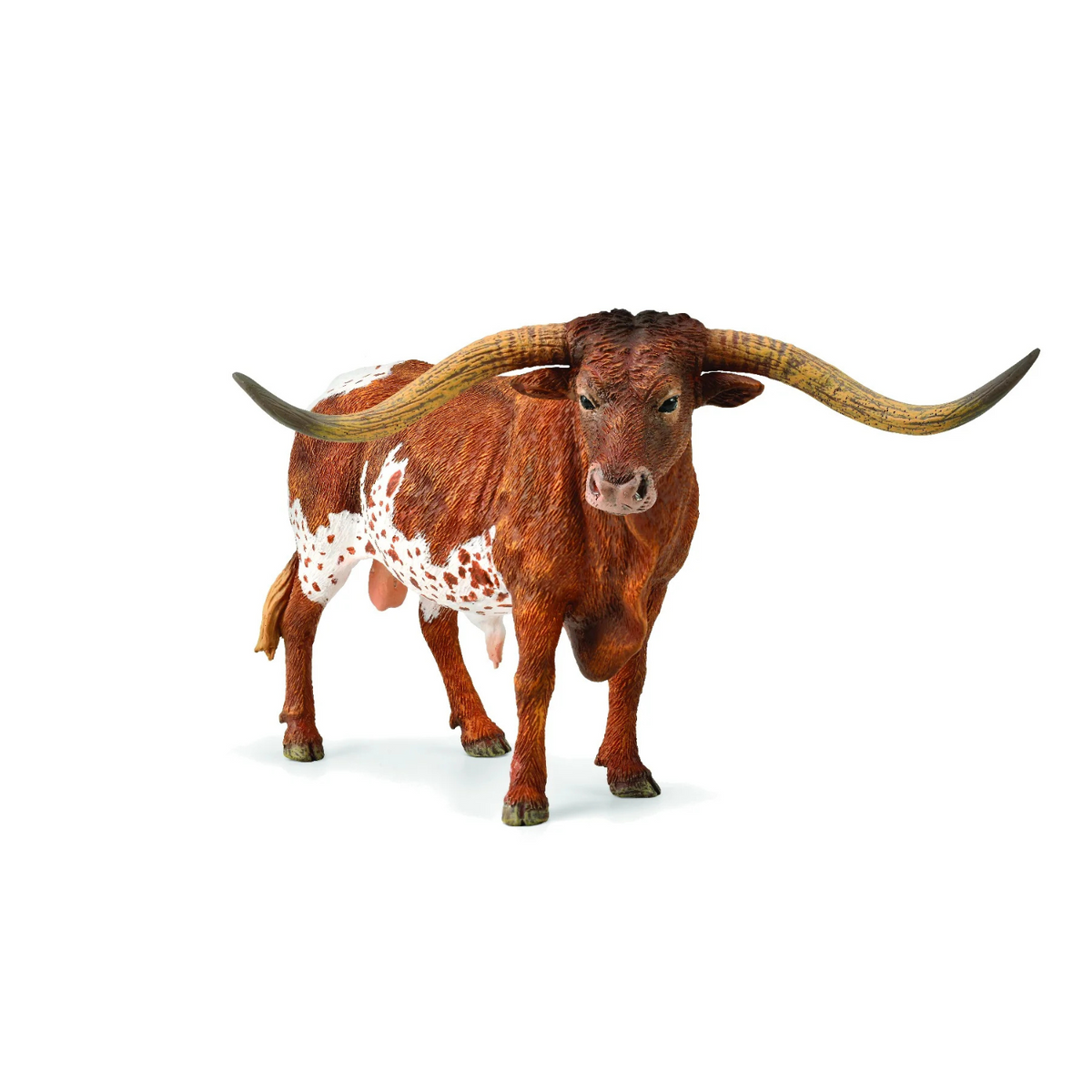 Texas Longhorn Bull