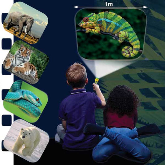 Animal Torch Projector for Kids make fun learning of nature