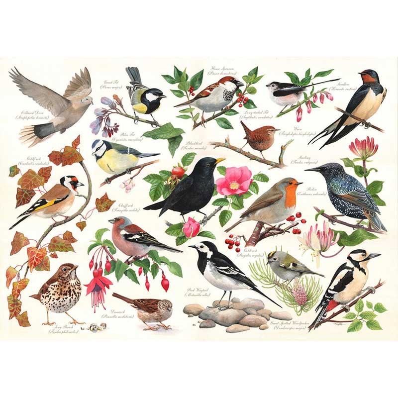 House of Puzzles Birds In My Garden 1000 Piece Jigsaw Puzzle complete puzzles picture