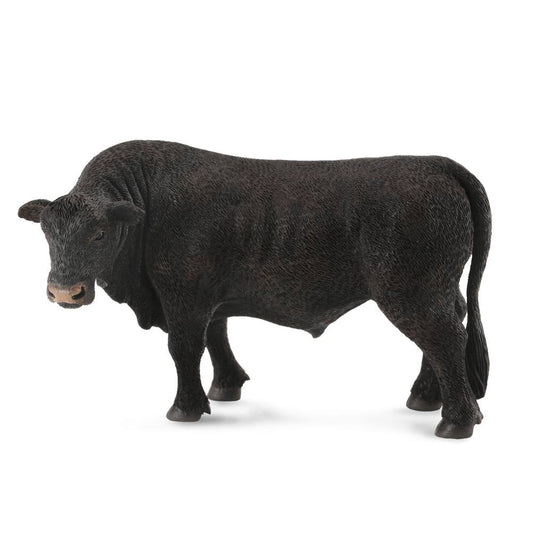 Black Angus Bull