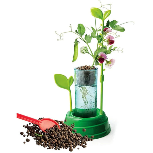 Clementoni Science & Play Lab Discover Hydroponics grown your own plant