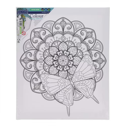 Colour My Canvas Butterfly canas for kids art
