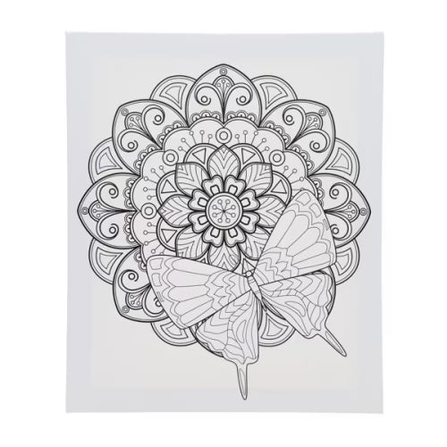 Colour My Canvas Butterfly creativity canvas