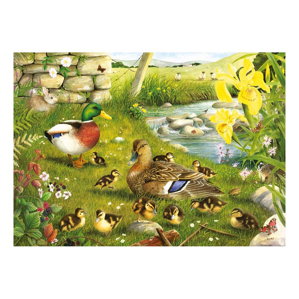 Ducks To Water - BIG 500 Piece Jigsaw Puzzle