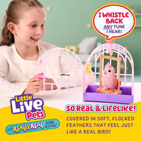 Little Live Pets My Really Real Bird & Cage Rosie life style picture