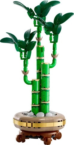 LEGO 10344 Lucky Bamboo