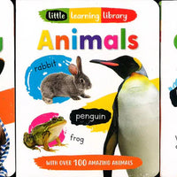 Little Learning Library - My World