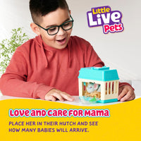 Little Live Pets Lil' Mouse Surprise Toy for kids over 4 years old
