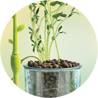 Clementoni Mini Greenhouse Complete Kit grow your own plants in your room