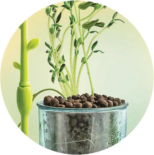 Clementoni Mini Greenhouse Complete Kit grow your own plants in your room