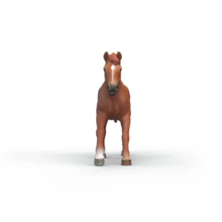 Schleich 14915 English Thoroughbred Stallion front view picture of the horse figure