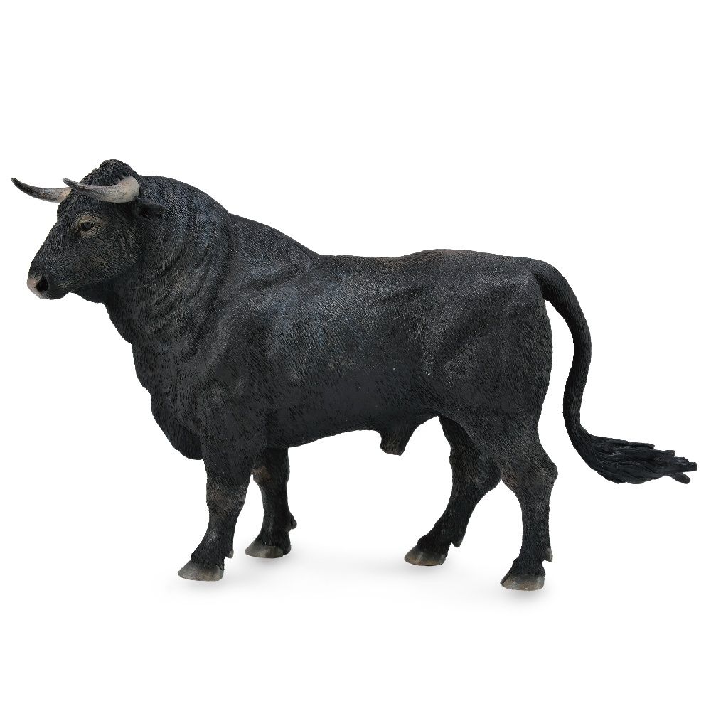 Spanish Fighting Bull - Standing