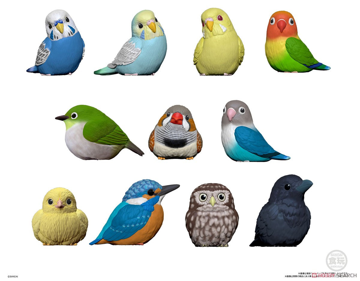 Tenori Friends 4 Bird Trading Figures Box picture of full collection