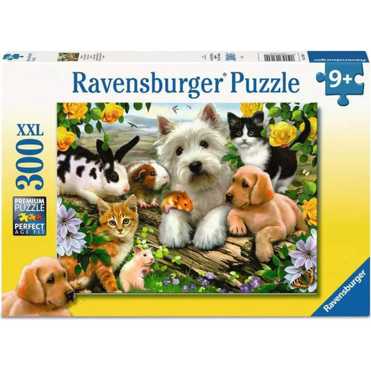 animal puzzle box 