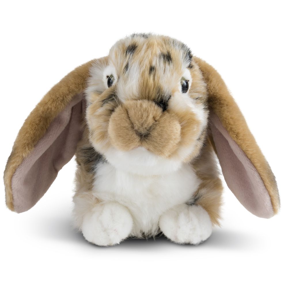 Living Nature Brown Dutch Lop Eared Rabbit