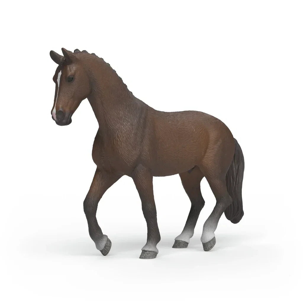 Dutch Warmblood