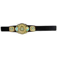 Toys at Foys - Mattel WWE Intercontinental Championship Title Belt