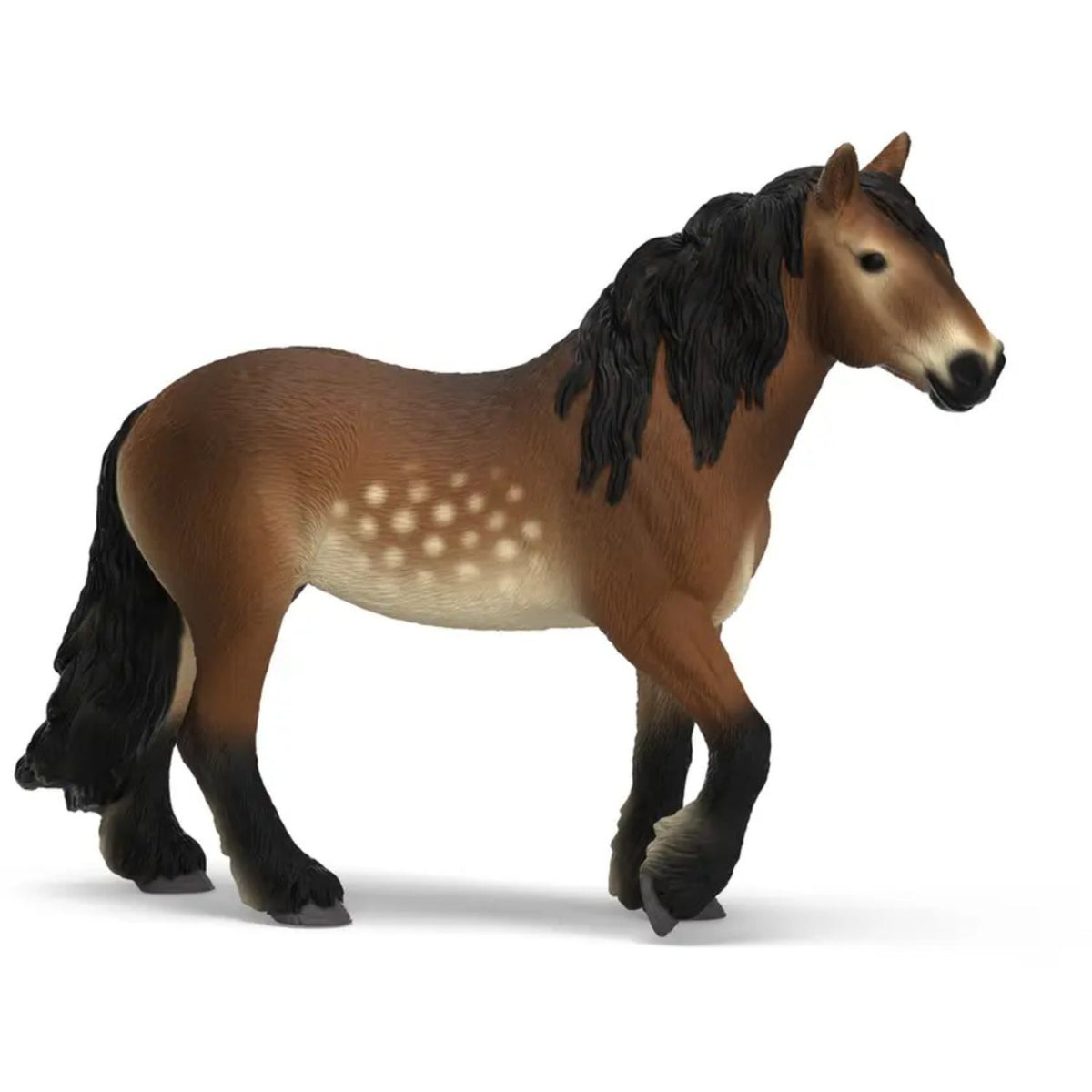North Swedish Cold Blooded Mare