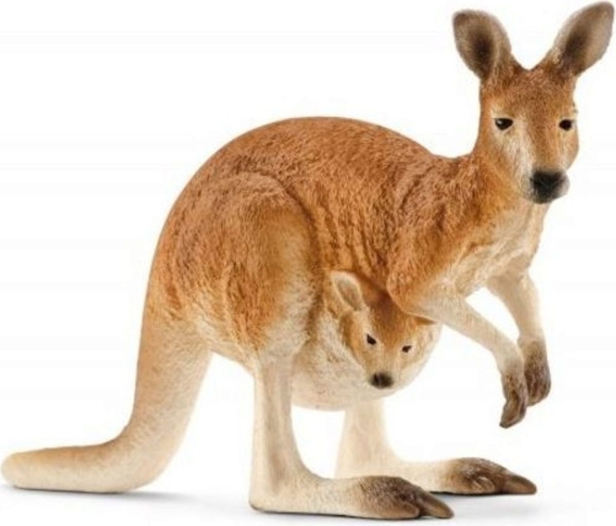 Toys at Foys Schleich 14756 Kangaroo