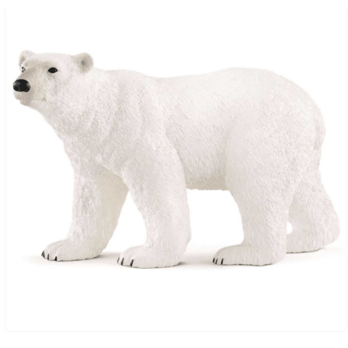 Toys at Foys - Schleich 14800 Wild Life Polar Bear 