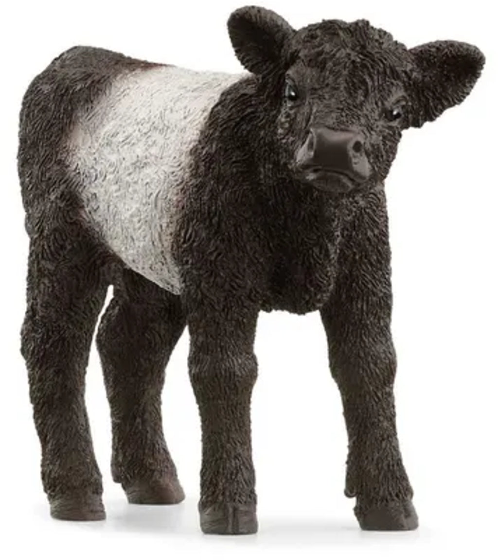 Toys at Foys - Schleich Farm World Galloway Calf 13969