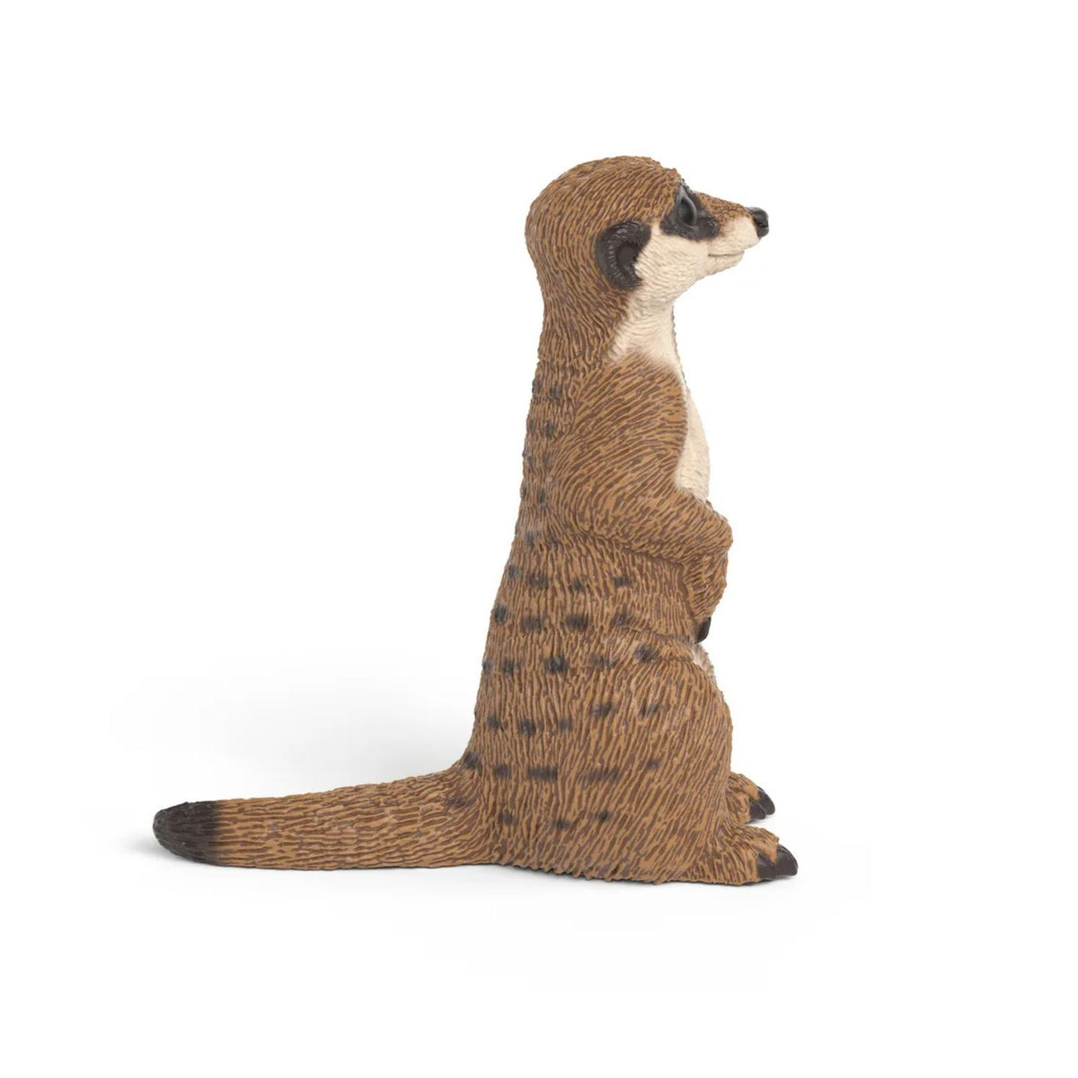 Toys at Foys - Schleich WILD LIFE Meerkat 14935