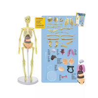contents of toy 