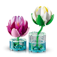 Two Gorgeous Detailed Water Lilies in Realistic Water