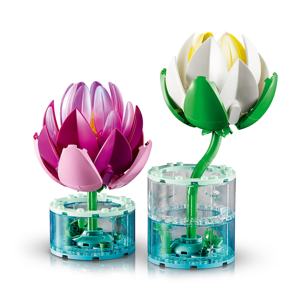 Two Gorgeous Detailed Water Lilies in Realistic Water