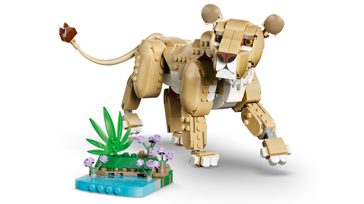 Build a Savannah Habitat with Rocks and Plants Included