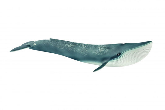 Schleich Blue Whale