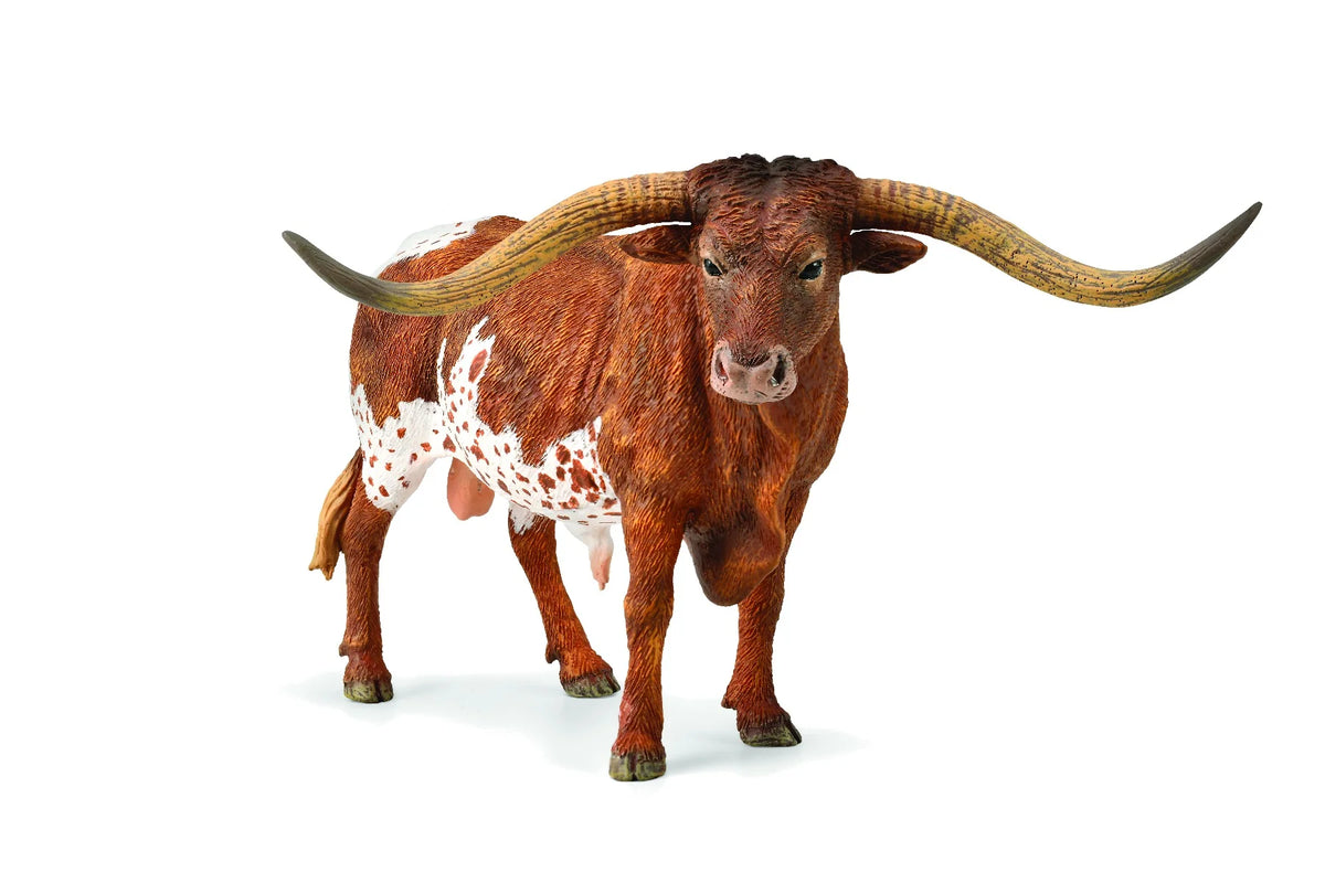 Texas Longhorn Bull