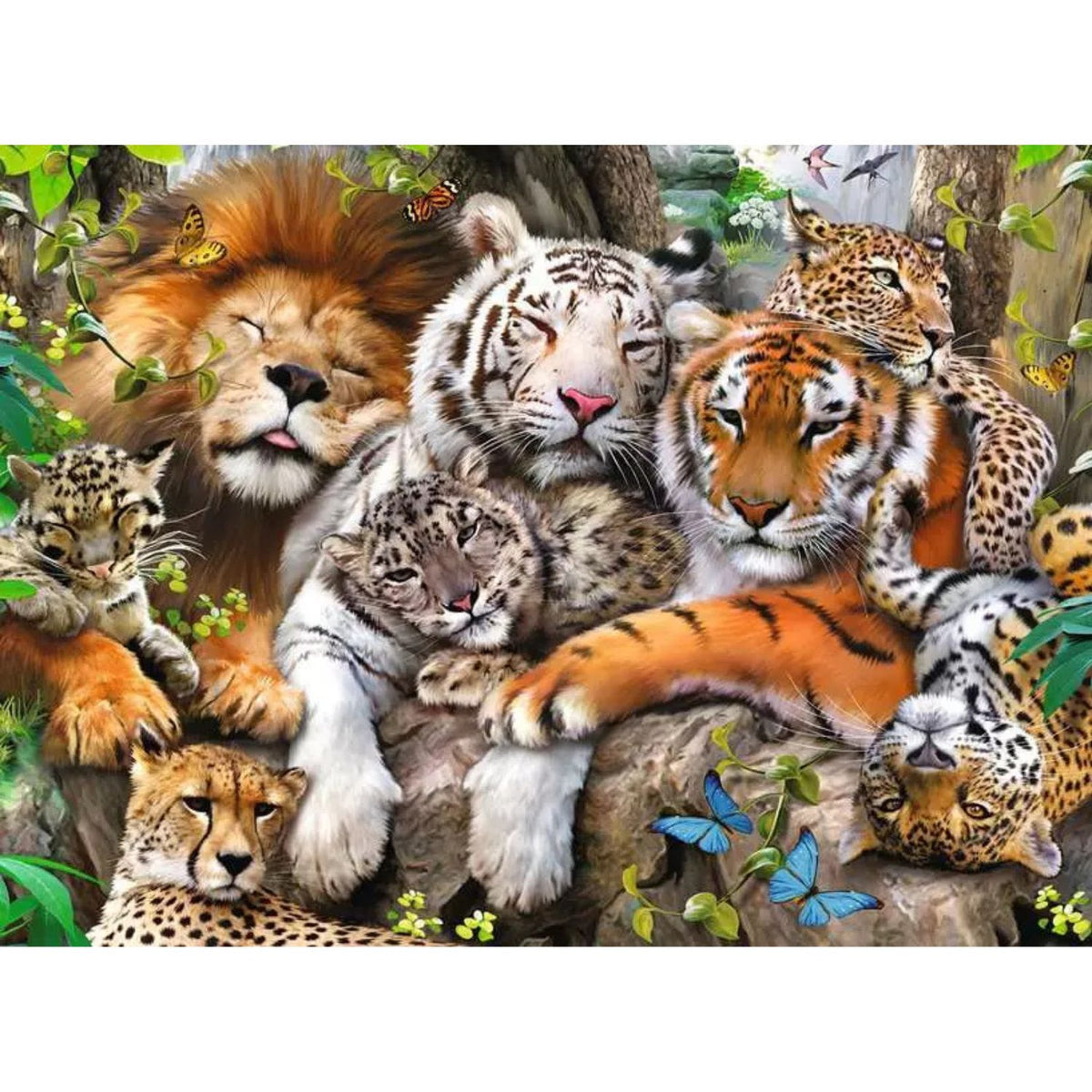 cat nap puzzle 