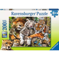 cat nap puzzle box 