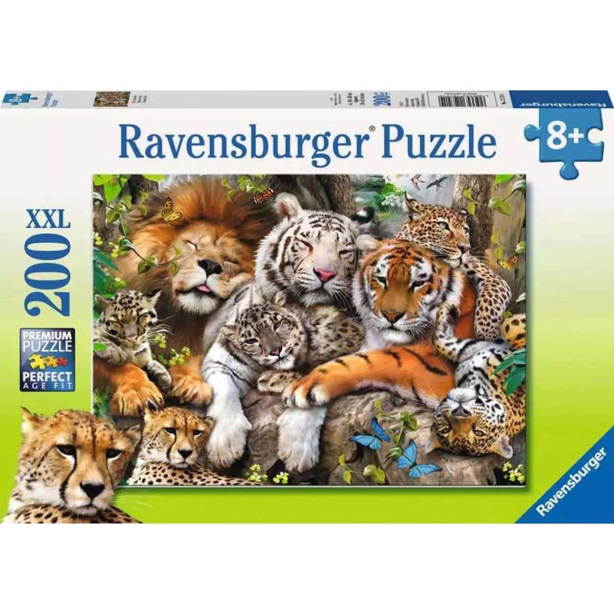 cat nap puzzle box 