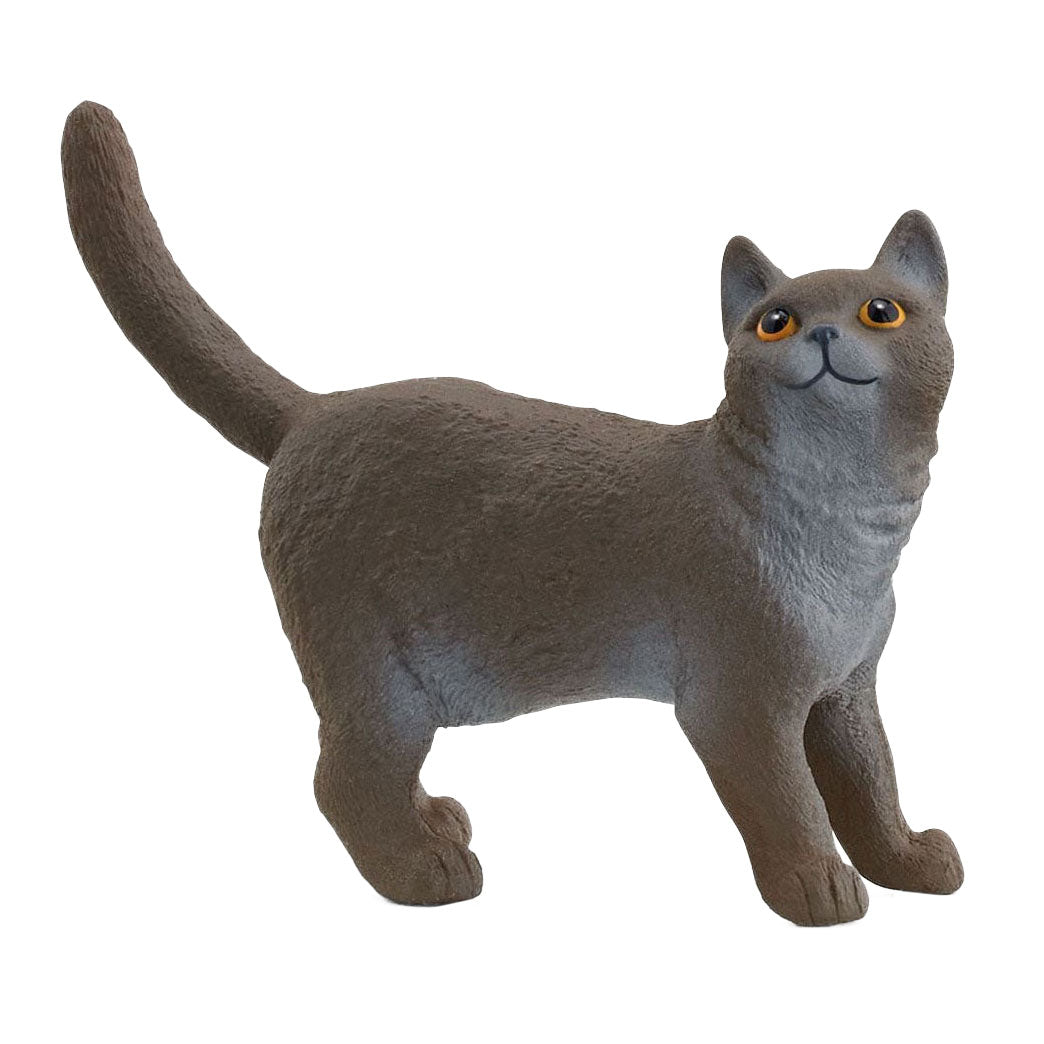 british short hair cat figure 