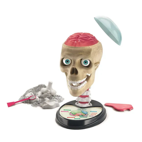 crazy anatomy science playset