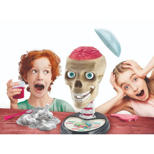 kids playing with crazy anatomy science playset