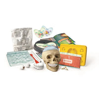 crazy anatomy science playset contents 