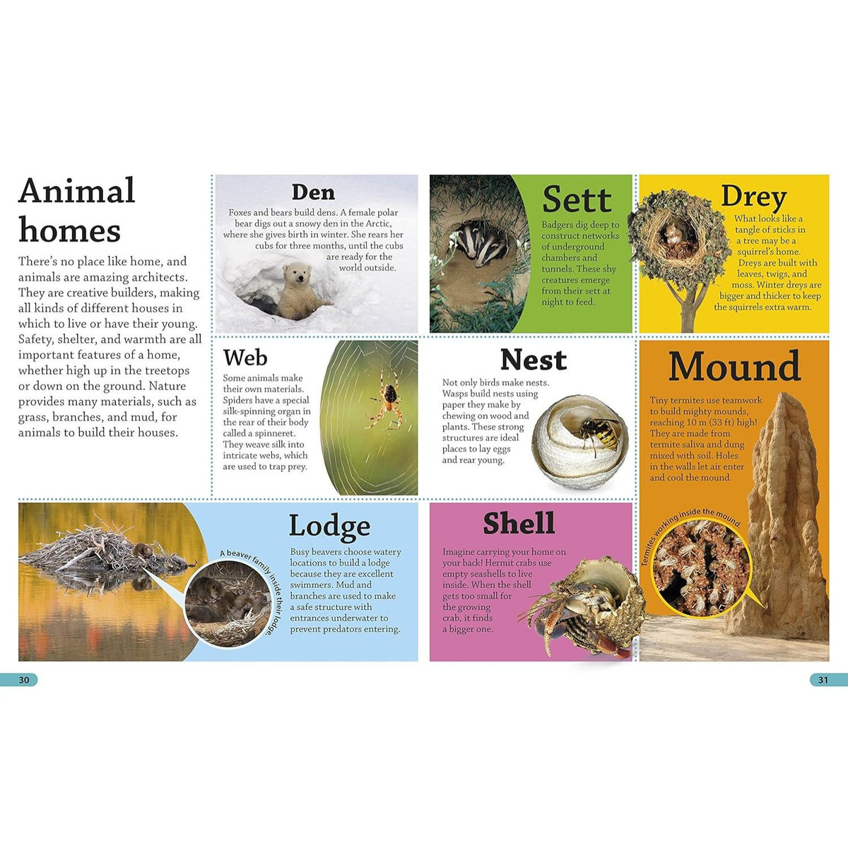 animal homes page 