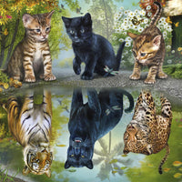 dream big jigsaw puzzle image 