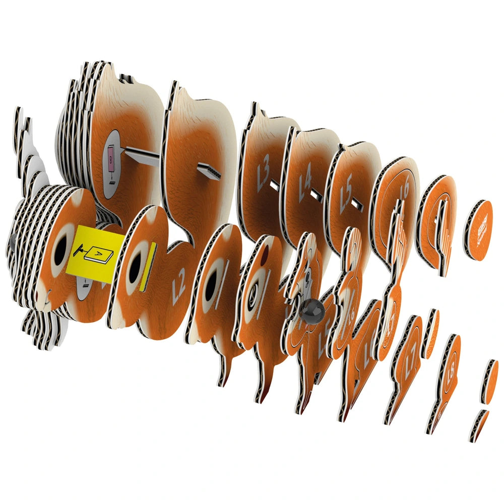 pieces of eugy squirrel 