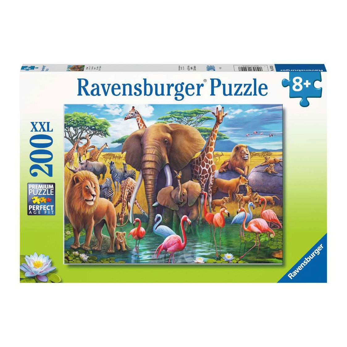 exotic safari puzzle box