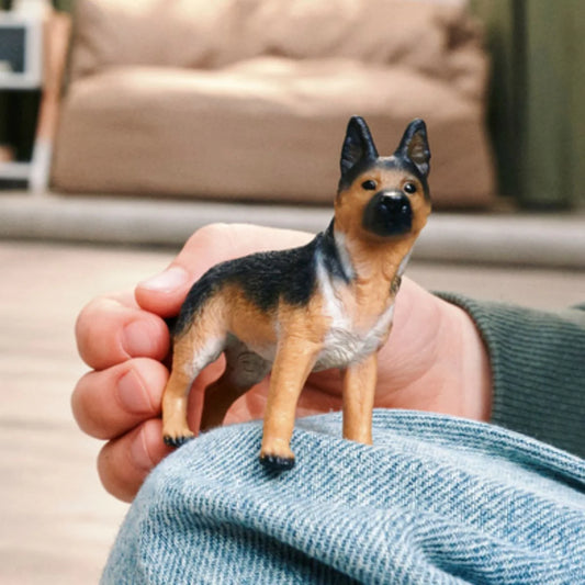hand holding dog toy 