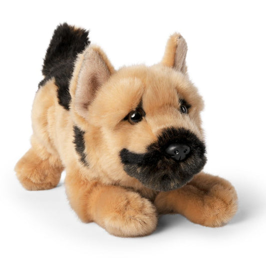 German shepherd playful pup 