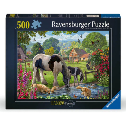 hadlow ponies puzzle box 