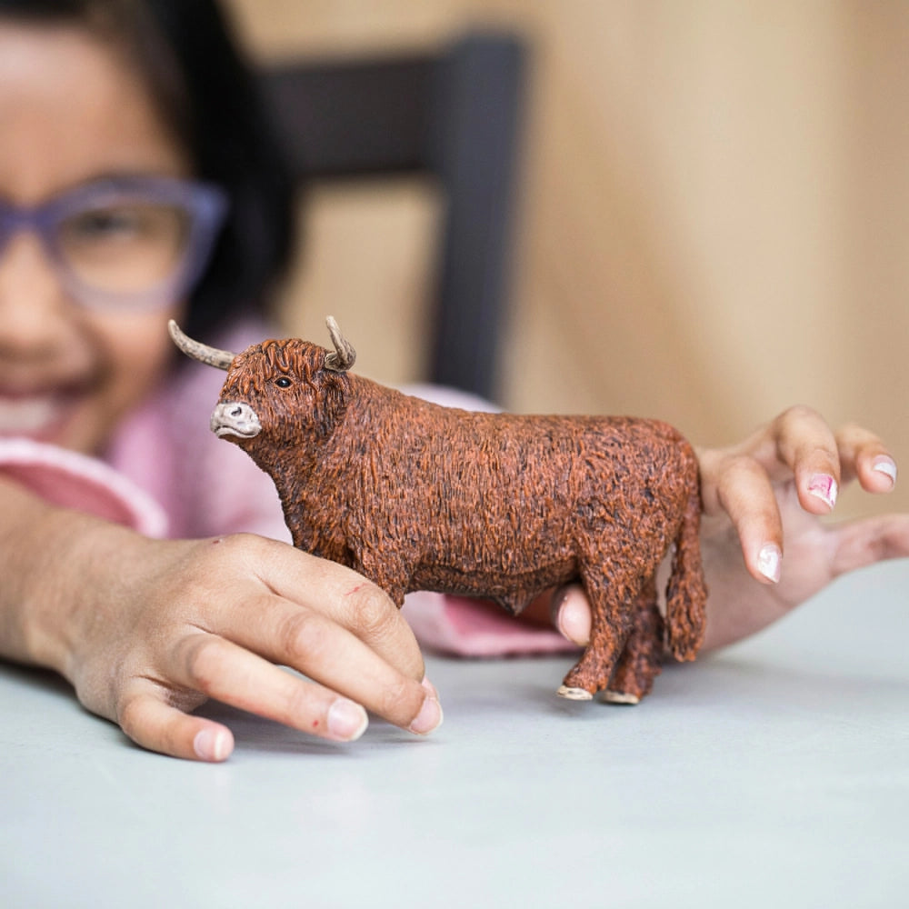 girl playing wth highland bull
